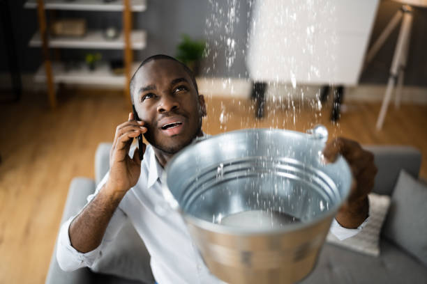 Best Local water damage restoration  in Paw Paw, MI